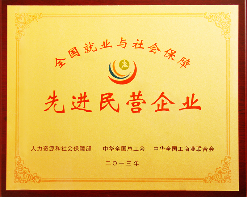 全國就業與社會保障先進民營企業